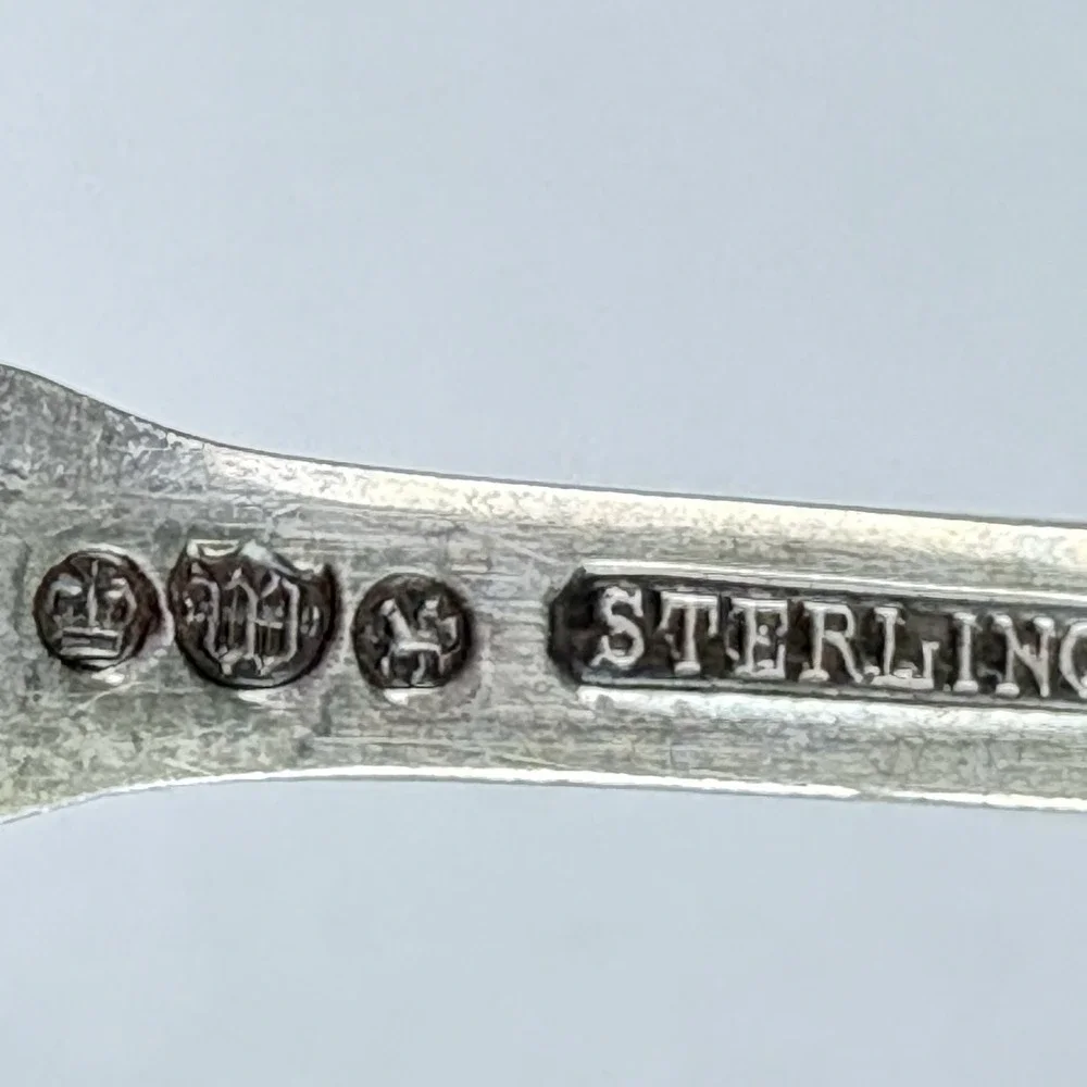 Whiting Daisy Sterling Silver Grapefruit Fruit‎ Spoon Antique 1880s Floral Art